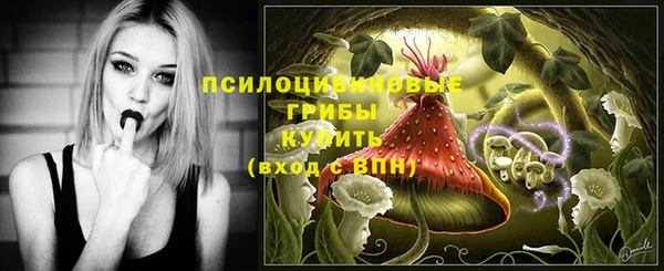 гидра Алзамай