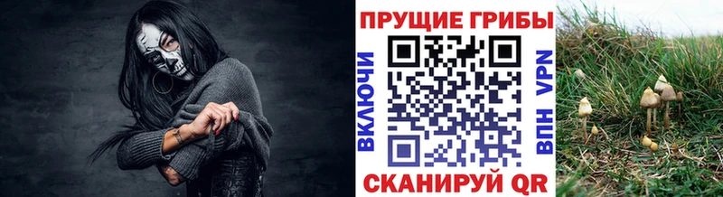 где купить наркоту  Лобня  Галлюциногенные грибы ЛСД 
